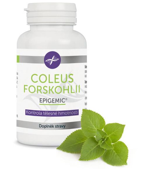 Coleus forskohlii pro podporu hubnutí - 60 kapslí